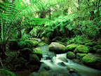 Sprachaufenthalt Australien