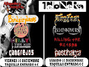 Festival 2 días Telonera
