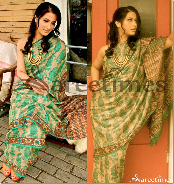 Anita_Majumdar_Saree Anita_Majumdar_Saree