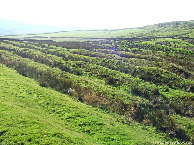 [sloes%2520007%255B6%255D.jpg]