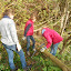 Dolfijnen - 2011-2012 - Natuurwerkdag