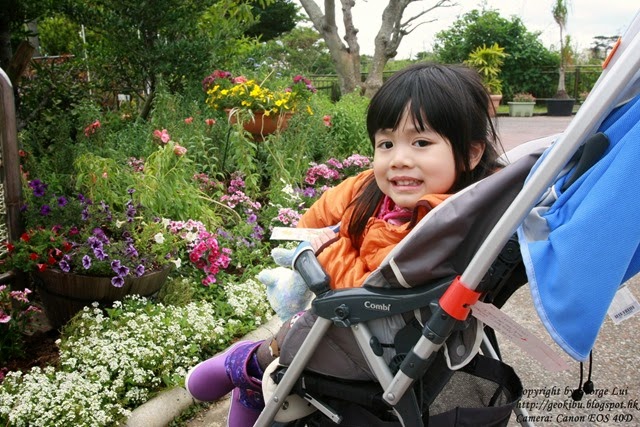 IMG_3522 IMG_3522