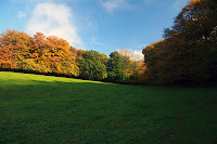 Another beautiful field. The hill is steeper than it looks!