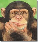 thinking-monkey1
