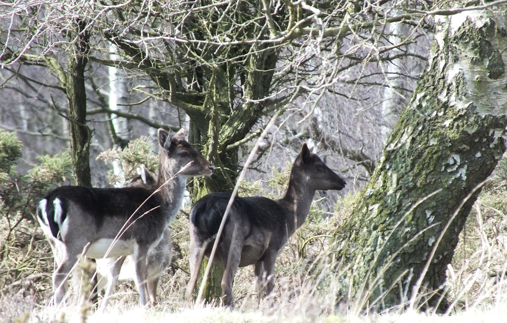 [004%255B4%255D.jpg]