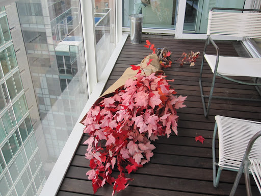 The bunch of leaves and branches before being prepped for an arrangement.