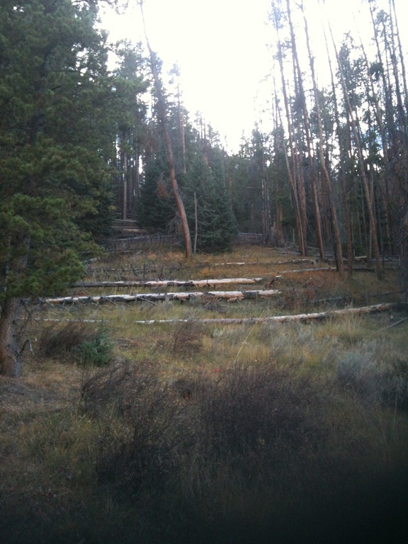 [IMG_12903.jpg]