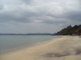 STP60775.JPG
