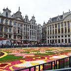DSC_0015.jpg