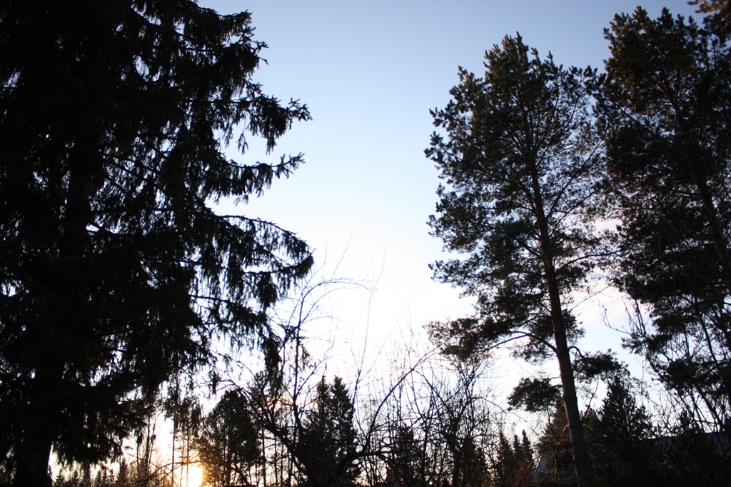 [IMG_0247%255B5%255D.jpg]