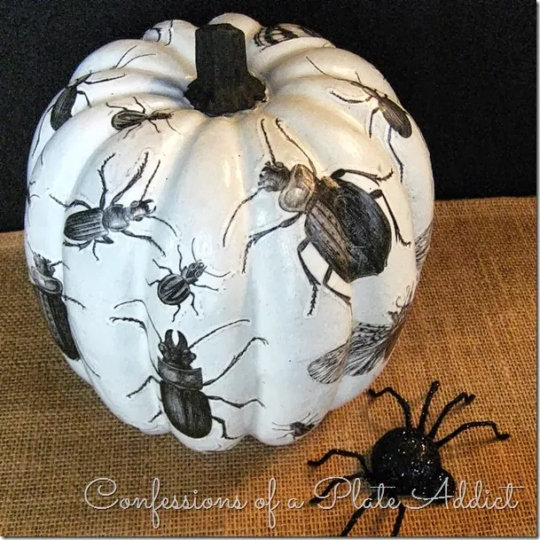 CONFESSIONS OF A PLATE ADDICT Découpage Insect Pumpkin w/Free Insect Graphics