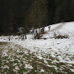 IMG_2651.JPG