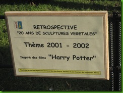 IMG_8347 IMG_8347