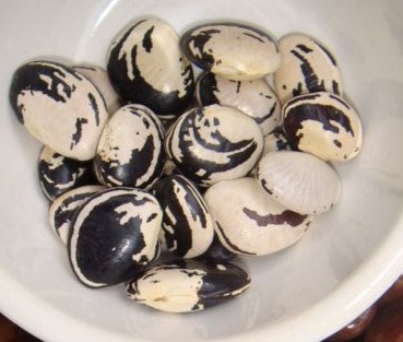[feij%25C3%25A3o%2520fava%2520rajado%2520preto%2520cozido%255B2%255D.jpg]
