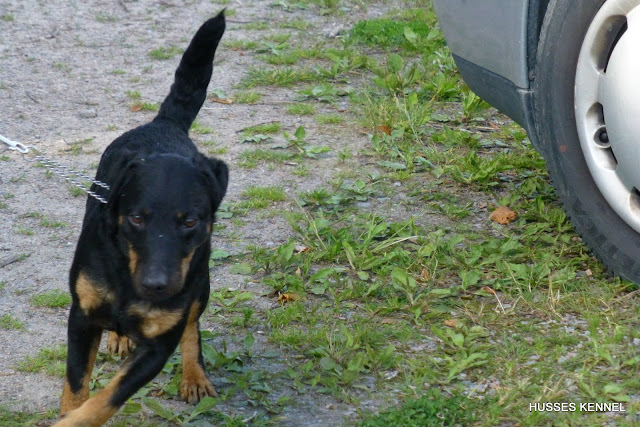 Zebban på G Zebban på G