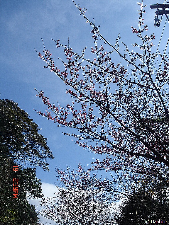 [DSC09029%255B6%255D.jpg]