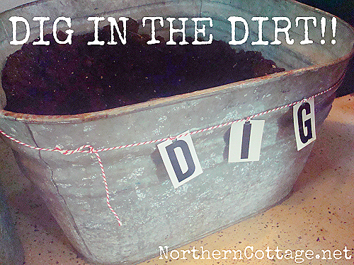 [dig-in-the-dirt-bucket-northern-cott%255B2%255D.png]