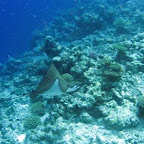 l070.jpg