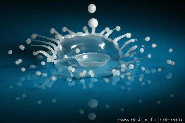 liquid-drop-art-gotas-caindo-foto-velocidade-hora-certa-desbaratinando (104) liquid-drop-art-gotas-caindo-foto-velocidade-hora-certa-desbaratinando (104)