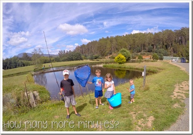 How Many More Minutes? ~ Mountain Stream Fishery & Free Camping in Scottsdale, Tasmania