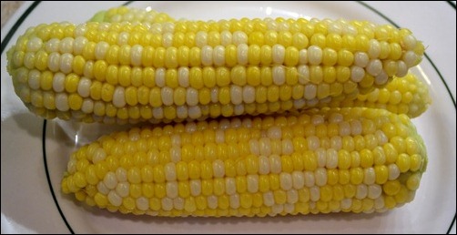 finished sweet corn