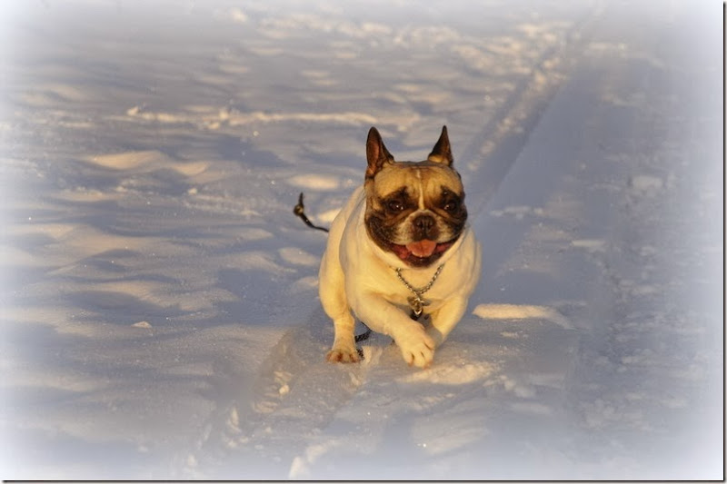 _DSC0016 _DSC0016