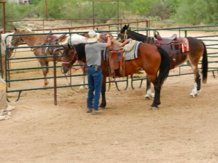 DSCN9526.jpg DSCN9526