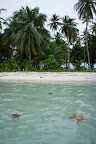 DSC03069.JPG