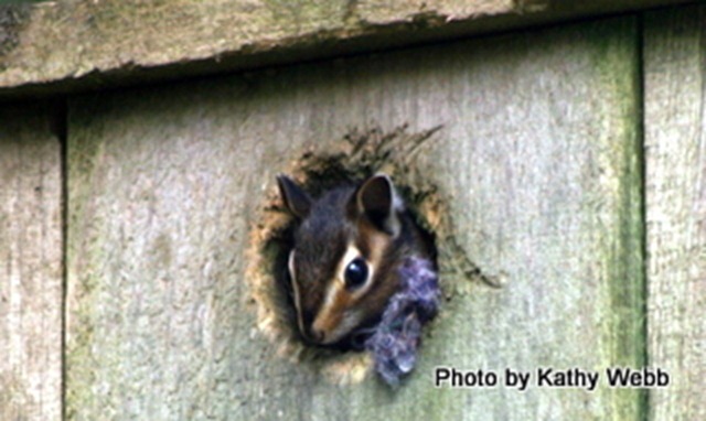 IMG_7453 IMG_7453