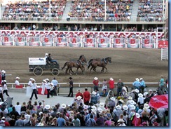 9541 Alberta Calgary Stampede 100th Anniversary - GMC Rangeland Derby & Grandstand Show - Chuckwagon Racing 101