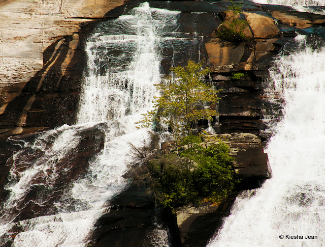 DSCN7238.JPG