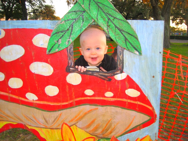 [IMG_2718%255B3%255D.jpg]