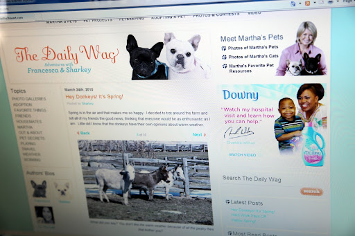 And how appropriate, here's a donkey blog!