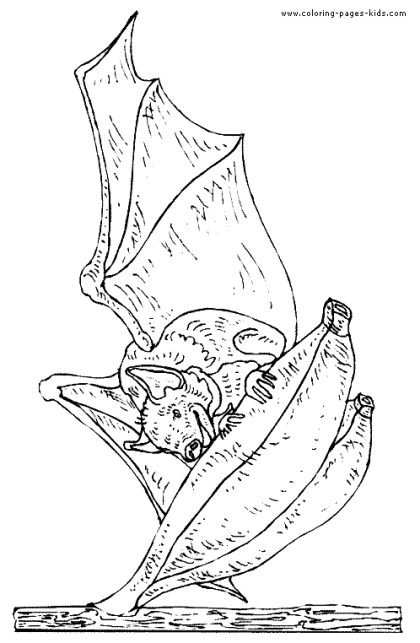 Bats coloring pages