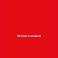 deniz arısoy014.jpg