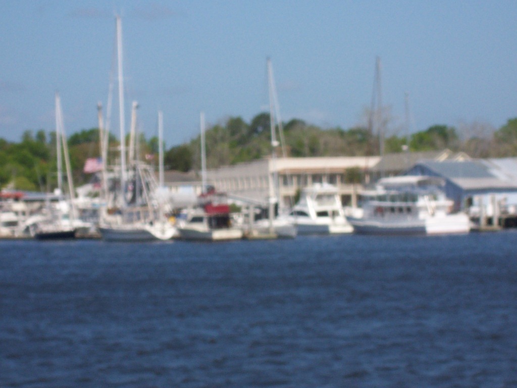 [cumberland-island%2520071%255B4%255D.jpg]