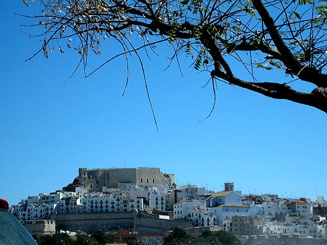 [IMG_70489.jpg]