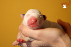 Boy 5 - day 1