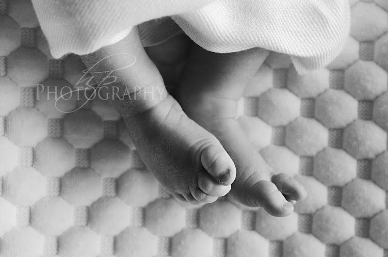HPP_4606bw