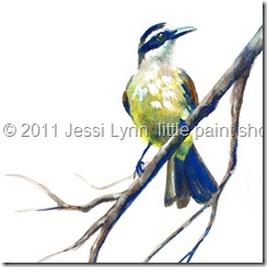 Jessi Lyn little paint shop woodland bird feather blue yellow