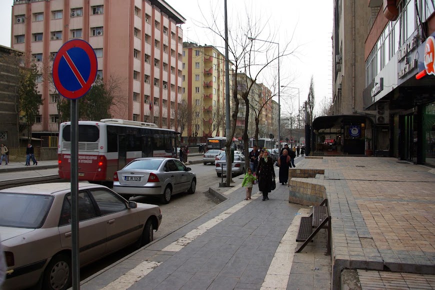 IMGP3239.jpg