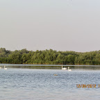 IMG_7894.JPG