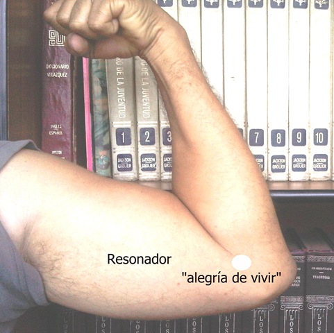 [Resonador%2520Alegr%25C3%25ADa%2520de%2520Vivir%255B3%255D.jpg]