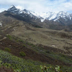 1060103_to_kock.JPG