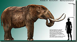 Mastodon   Wikipedia  the free encyclopedia