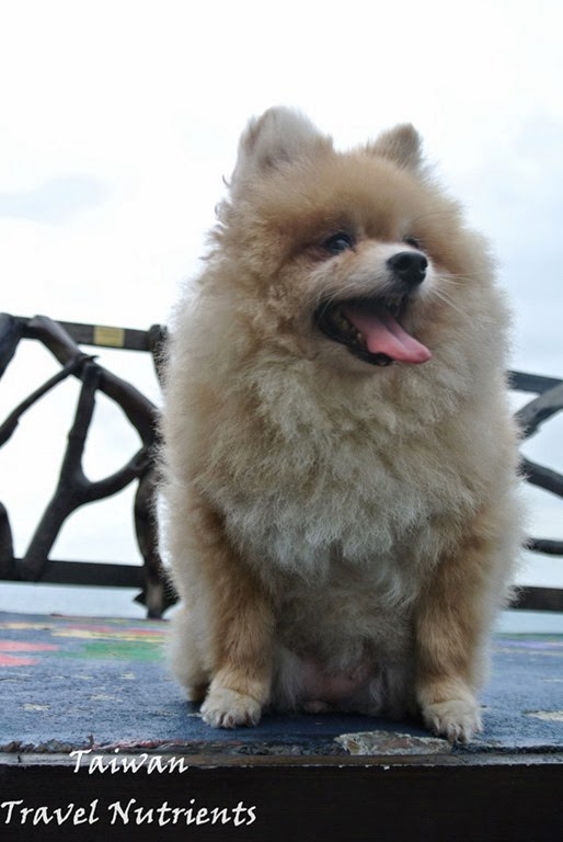 [i00417%255B3%255D%255B1%255D.jpg]