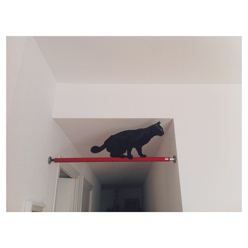 marcbordons instagram marcbordons instagram