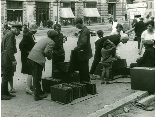 clip_image004 clip_image004