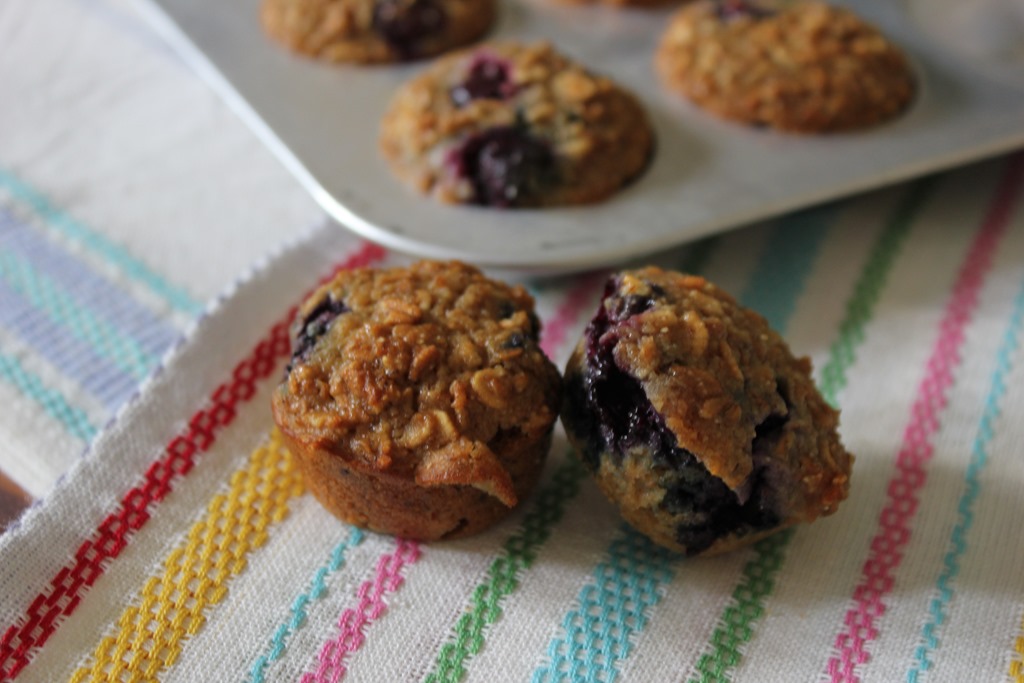 [blueberry-oatmeal-breakfast-muffins-2%255B5%255D.jpg]