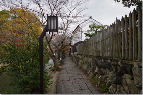 IMGP5936 IMGP5936